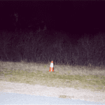 Brush area along Ocean Parkway. where remains were recovered