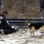 Gilgo Beach Bodies Discovered