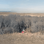 Melissa Barthelemy’s remains were discovered on the north side of Ocean Parkway, near Gilgo Beach, on Dec. 11, 2010.