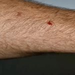 Alex Cox After He shot and killed Charles Vallow