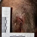 Alex Cox After He shot and killed Charles Vallow