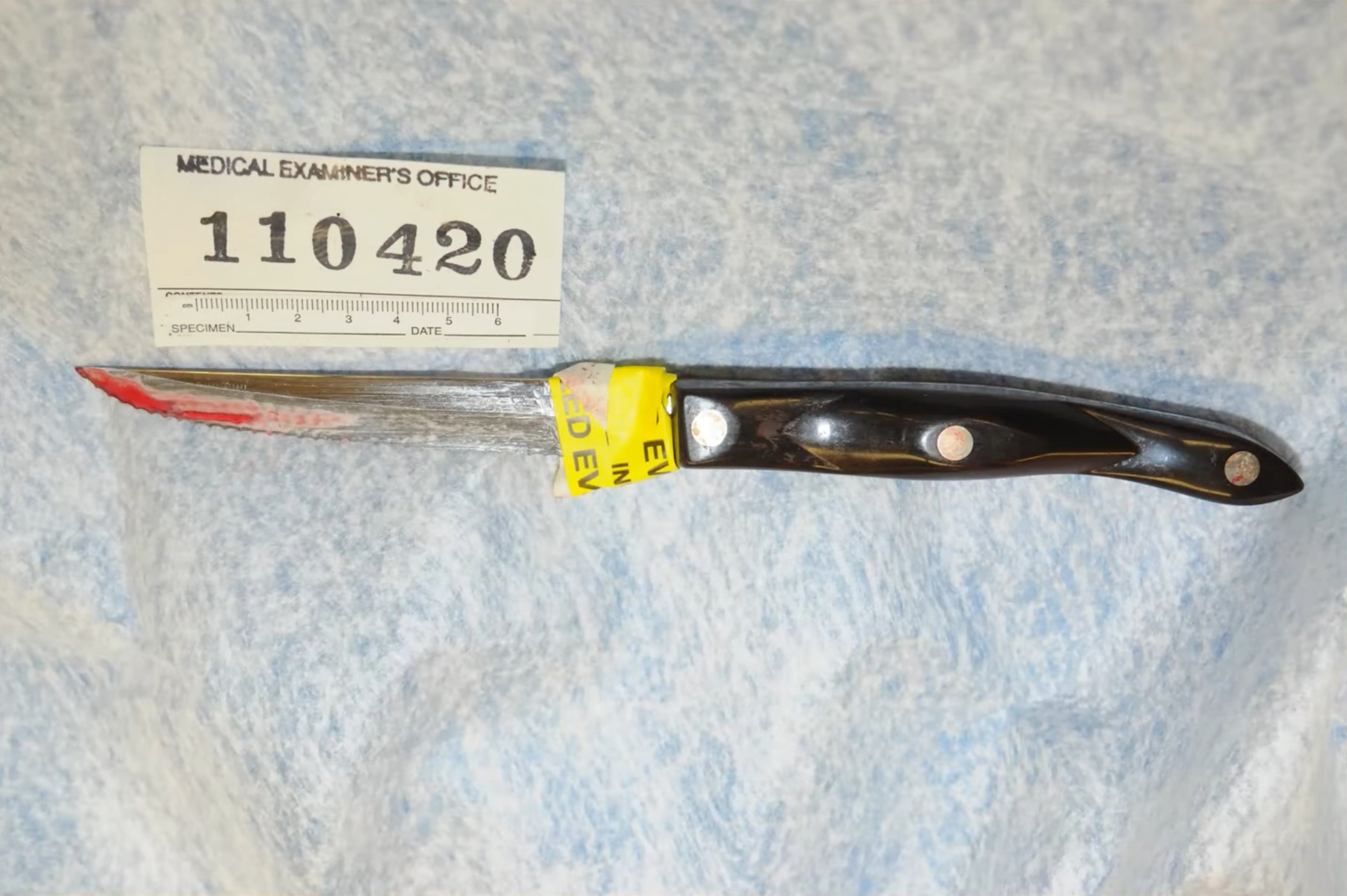 Ellen Greenberg Murder Weapon-Knife