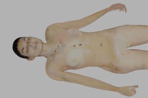 Ellen R Greenberg Autopsy Computer Model Front Body