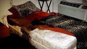 Shelbey Thornburgh Crime Scene