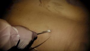 Shelbey Thornburgh Crime Scene