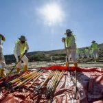 Authorities sifting Georgia landfill for Quinton Simon remains