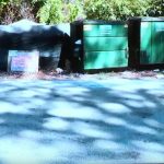 Quinton Simon Murder