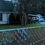 Leilani Simon Home Search