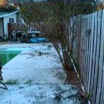 Leilani Simon Home Search