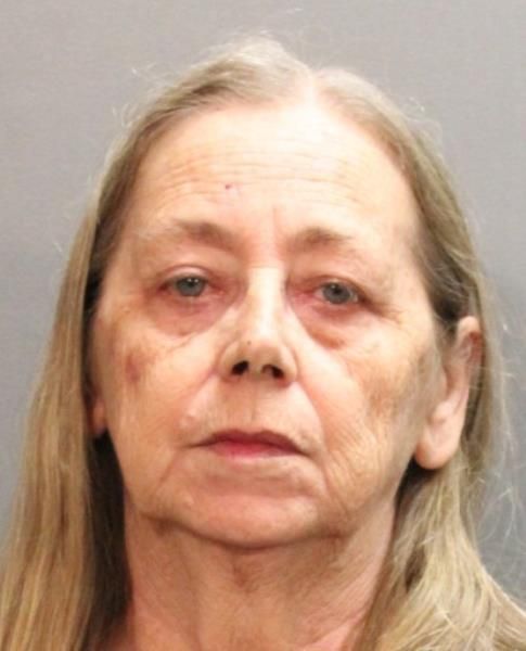 Mary Elizabeth Bartholomew a Jacksonville Woman Arrested for Child Neglect