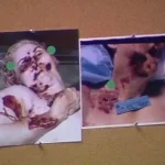 Menendez Murder Case Files