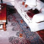 Menendez Murder Case Files