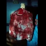 Menendez Murder Case Files