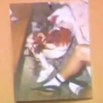 Menendez Murder Case Files