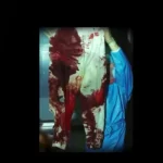 Menendez Murder Case Files