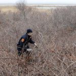 Search for Shannan Gilbert