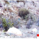 Suzanne Morphew Body Locati9n