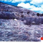 Suzanne Morphew Bike